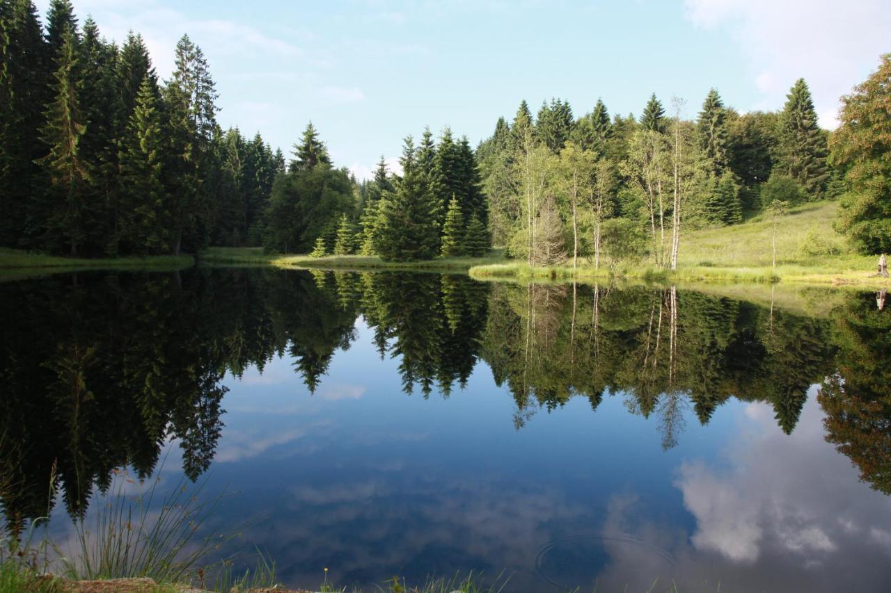 Chalet Des Rochires Gérardmer Εξωτερικό φωτογραφία